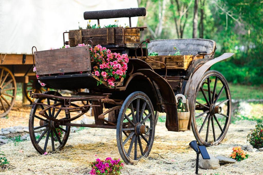 Cozy Wild West Covered Wagon Next To River Grants Pass Exteriér fotografie